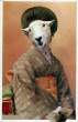 sheepsha.jpg