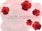 Bed_Of_Roses.jpg