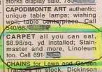 carpet.jpg