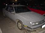 astroturf_car.jpg
