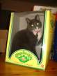 cabbage_patch_cat.jpg