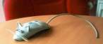 mouse1.JPG