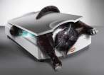 catscan6aj.jpg