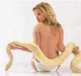 417_snake.jpg