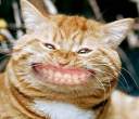 say_cheese.jpg