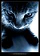 Bring_out_the_beast_by_Nikolaou.jpg
