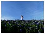 Proof of the Season by Shooga.jpg