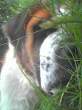 Picture 0164.jpg