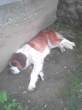 Picture 0162.jpg
