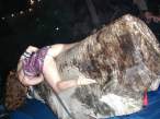 Mechanical bull.jpg