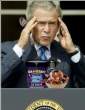 Bush's Brain Freeze.jpg