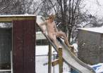 Playing time in winter.jpg