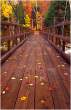 Over the Bridge.jpg