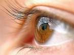 Eye.jpg