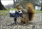 Say cheeese.jpg