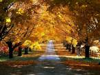 Autumn [extra] 06.jpeg