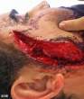 Close Shave [sick].jpg