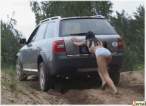 normal_girls_and_cars_004.jpg