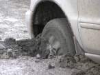 Stuck [extra] 04.JPG