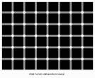 illusion_27.gif