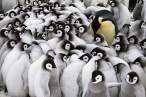 Linux convention.jpg