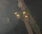 Raccoons.jpg