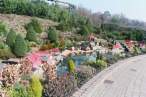 legoland_24.jpg