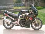 Picture 01.jpg