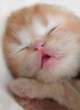 Good morning.jpg