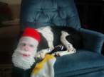 Santa.jpg