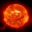 cosmos_9.jpg