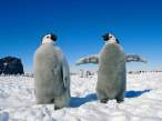 Linux convention.jpg
