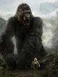 kingkong_01v.jpg