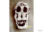 Skull [18+].jpg