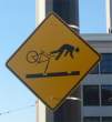 Sign.jpg