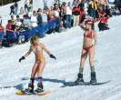 Bikini Snowboarders.jpg