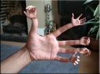 Handyman.jpg