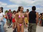 pink_3_394.jpg