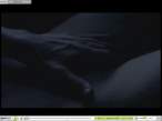 ScreenShot008.jpg