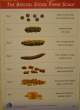 Stool Form Scale.jpg