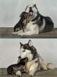 Let me see.jpg