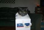 Not The Expected Package.jpg