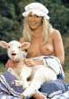 Nice sheep [18+].jpg