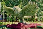 Owl.jpg