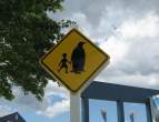 Penguin Crossing.jpg