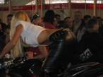 IMG_3137.jpg