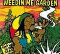 Weed.jpg