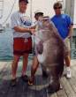 Huge Freaking Grouper.jpg