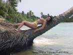 vieques-posing-on-the-palm-.jpg