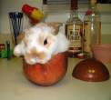 What a wabbit.jpg